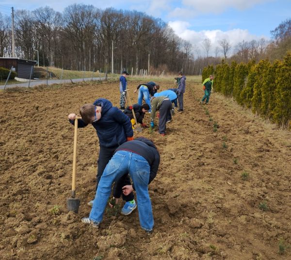 Schüler pflanzen Bäume