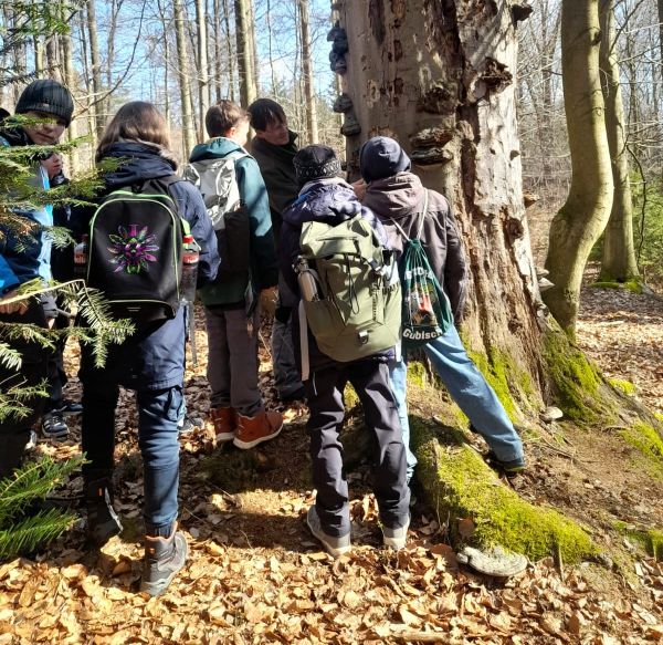 Schüler unterwegs im Herrnhuter Wald